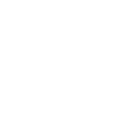 ce logo Schaumburg