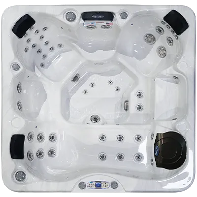 Avalon EC-849L hot tubs for sale in Schaumburg