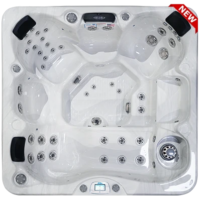 Avalon-X EC-849LX hot tubs for sale in Schaumburg