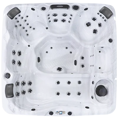 Avalon EC-867L hot tubs for sale in Schaumburg